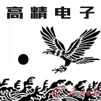 乐清高精电子有限公司