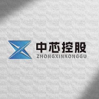 中芯控股（浙江）有限公司