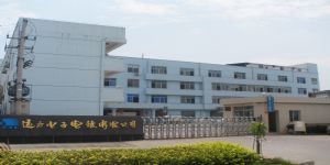 乐清市远方电子电镀有限公司