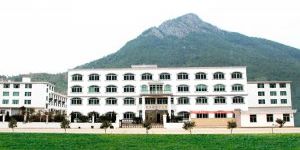 乐清市创意影视器材有限公司
